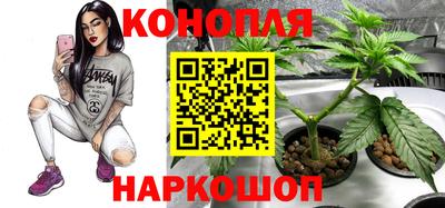 индика Тулун