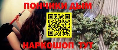 индика Тулун