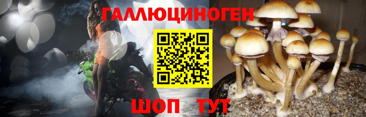 Миасс  Псилоцибиновые грибы MAGIC MUSHROOMS  Галлюциногенные грибы GOLDEN TEACHER  наркота  Вход с VPN 